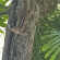 фото из отзыва ID 2122613