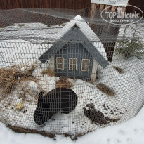 фото из отзыва ID 2122639