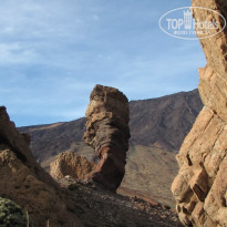 фото из отзыва ID 2122381