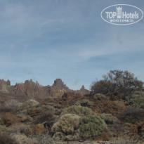 фото из отзыва ID 2122381