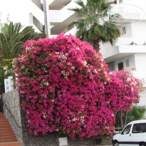 фото из отзыва ID 2122381