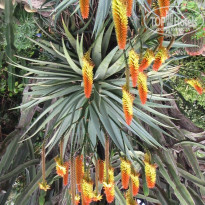 фото из отзыва ID 2122381