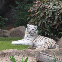 фото из отзыва ID 2122381