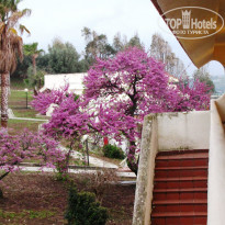 фото из отзыва ID 2122245