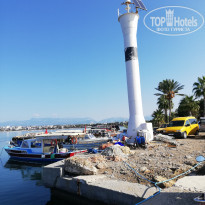 фото из отзыва ID 2122700