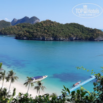 фото из отзыва ID 2122767