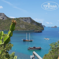 фото из отзыва ID 2122767