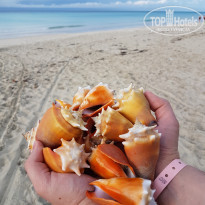 фото из отзыва ID 2122787