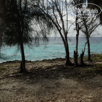 фото из отзыва ID 2122897