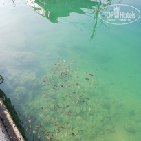 фото из отзыва ID 2122700