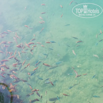 фото из отзыва ID 2122700