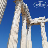 фото из отзыва ID 2122700