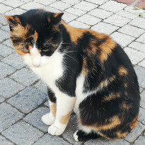 фото из отзыва ID 2122700