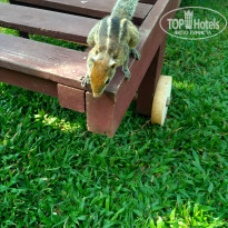 фото из отзыва ID 2122964