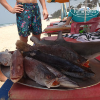 фото из отзыва ID 2122977