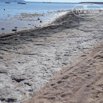 фото из отзыва ID 2122992