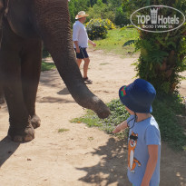 фото из отзыва ID 2122978