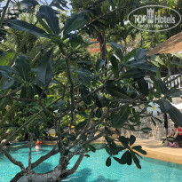 фото из отзыва ID 2123071