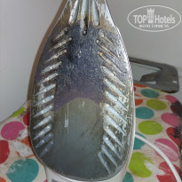 фото из отзыва ID 2123140