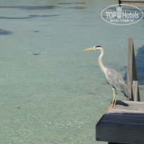 фото из отзыва ID 2123163