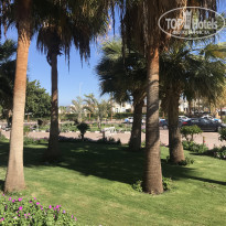 фото из отзыва ID 2123173