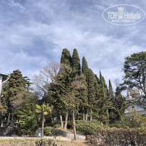 фото из отзыва ID 2123234