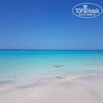 фото из отзыва ID 2122787