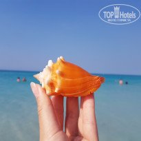 фото из отзыва ID 2122787