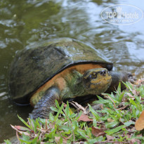 фото из отзыва ID 2123273