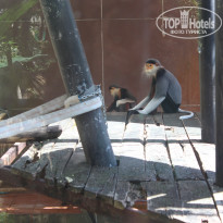 фото из отзыва ID 2123273