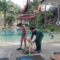 фото из отзыва ID 2123052