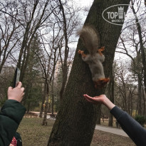 фото из отзыва ID 2123181