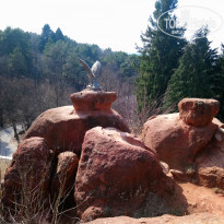 фото из отзыва ID 2123181