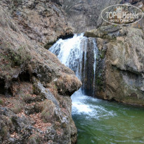 фото из отзыва ID 2123181