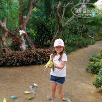 фото из отзыва ID 2123362