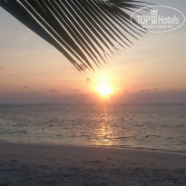 фото из отзыва ID 2123379