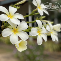 фото из отзыва ID 2123414