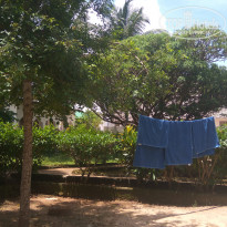 фото из отзыва ID 2123503