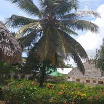 фото из отзыва ID 2123503