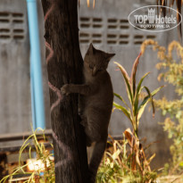 фото из отзыва ID 2123654