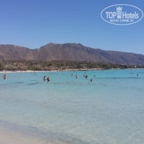 фото из отзыва ID 2123675