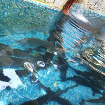 фото из отзыва ID 2123675