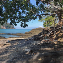 фото из отзыва ID 2123665