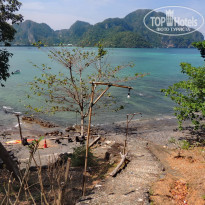 фото из отзыва ID 2123665