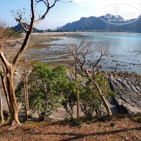 фото из отзыва ID 2123665