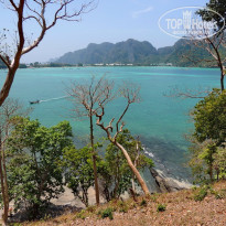 фото из отзыва ID 2123665