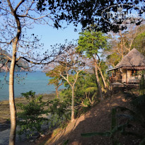 фото из отзыва ID 2123665