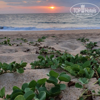 фото из отзыва ID 2123723