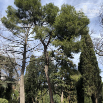 фото из отзыва ID 2123743