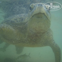 фото из отзыва ID 2123736